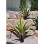 Konstgjord Agave furcraea gigantea CHERIE, grågrön, 120cm