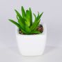 Konstgjord Agave americana-växt KATNISS, keramikkruka, grön, 8cm
