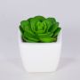 Dekorativ Echeveria elegans KATNISS, keramikkruka, grön, 6cm