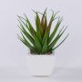 Dekorativ Agave decipiens KATNISS i keramikkruka, grön-röd, 19cm