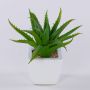 Dekorativ aloe vera KATNISS, keramikkruka, grön, 19cm