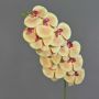 Konstgjord Phalaenopsis-orkidégren XURI, persika-fuchsia, 95cm, Ø12,5cm