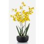 Konstgjord Oncidium-orkidé DEISHA i dekorativ skål, rötter, gul, 70cm