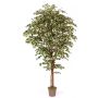 Konstgjord Ficus Benjamini LINETTE, naturstammar, grön-vit, 200cm - Tillverkad i Italien