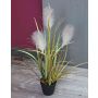Pampasgräs NICOLAS i plast med blomspikar, grönbrunt, 50cm