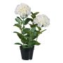 Dekorationsblomma hortensia BINEFA, vit, 60cm