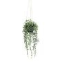 Konstgjord suckulent Senecio hängande blomkruka GRISTY i dekorativ kruka, hängande, grön, 55cm