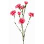 Konstgjord blomkvist, nejlika PIARA, cerise, 60cm, Ø3-5cm