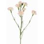 Konstgjord blomkvist, nejlika PIARA, blekrosa, 60cm, Ø3-5cm