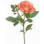 Konstblomma ros WAIOLA, persika, 65cm, Ø11cm