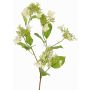 Konstgjord hortensia-gren KATHANI, vit-grön, 80cm, Ø10-13cm