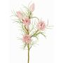 Dekorativ proteagren NOHEA, rosa-vit, 60cm, Ø3-6cm