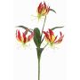 Dekorationsblomma Gloriosa XELA, mörkröd-gul, 50cm, Ø4-7cm