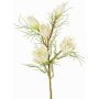Dekorativ protea-gren NOHEA, vit, 60cm, Ø3-6cm