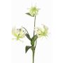 Dekorationsblomma Gloriosa XELA, vit-grön, 50cm, Ø4-7cm