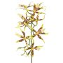 Konstgjord Brassia-orkidé ORELA, gul-röd, 90cm