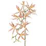 Konstgjord Brassia-orkidé ORELA, vit-röd, 90cm