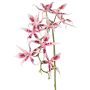 Konstgjord Brassia-orkidé ORELA, rosa-cerise, 90cm
