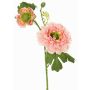Konstgjord ranunkelkvist SAGARA, rosa-grön, 45cm, Ø5-9cm