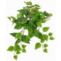 Dekorativ växt, hängande efebia SHELLEY på stödpinne, Eco Collection, grön, 55cm