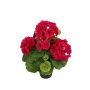 Konstblomma, pelargon ELISABETTA i dekorativ kruka, cerise, 35cm