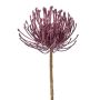 Konstblomma nålkudde Protea ZIRMO, lila, 50cm