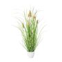 Dekorgräs Kaninsvansgräs BIRVO i melamin-kruka, tofsar, beige, 50cm