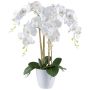 Dekorationsblomma Phalaenopsis-orkidé BLENTOR i melamin-kruka, rötter, vit, 60cm