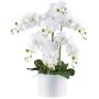 Dekorativ blomma Phalaenopsis-orkidé TOUNI, keramikkruka, rötter, vit, 60cm