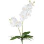 Dekorativ blomma Phalaenopsis-orkidé KRUZBER, på pinne, rötter, vit, 55cm