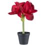 Dekoblomma Amaryllis PRIFT i dekorativ kruka, mörkröd, 30cm