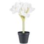 Dekorationsblomma Amaryllis PRIFT i dekorativ kruka, vit, 30cm