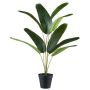 Konstgjord palm, bananväxt LACTER i dekorativ kruka, 50cm