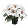 Konstblomma julstjärna FRIZO i dekorativ kruka, vit, 26cm