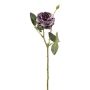Konstblomma kålros VOMTE, torkad look, lila, 45cm, Ø7cm