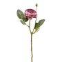 Konstblomma kålros VOMTE, torkad look, mauve, 45cm, Ø7cm