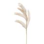 Konstgjord sandrörsris ALFIN, beige, 80cm