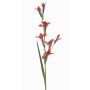 Konstgjord gladiolus GROWEL, korall, 105cm