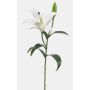 Konstgjord blomma, tigerlilja MIXLON, vit, 55cm, Ø13cm