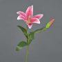 Konstblomma tigerlilja MIXLON, cerise, 55cm, Ø13cm