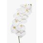 Konstgjord Phalaenopsis-orkidégren XURI, vit, 95cm, Ø12,5cm