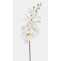Konstgjord Phalaenopsis-orkidégren AXELOR, vit, 85cm