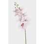 Konstgjord Phalaenopsis-orkidégren AXELOR, vit-rosa, 85cm