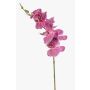 Konstgjord Phalaenopsis-orkidégren AXELOR, cerise, 85cm