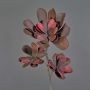 Konstgjord Echeveria tinkerbell-gren av plastskum ORALY, mörkvioletta, 95cm, Ø15-27cm