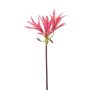 Konstgjord trädgårdsamaryllis XAVLER, rosa, 80cm