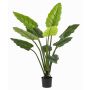 Konstgjord växt Calathea Rufibarba NUSAKAN, grön, 120cm