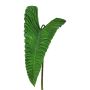 Konstgjort blad Colocasia ROSAKIN, grönt, 105cm