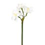 Konstgjord narcissblomma VLAMOR, vit, 40cm