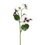 Dekorativ gren med penséer FREVON, vit-violett, 45cm